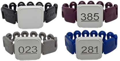 클락전자키우레탄밴드세트